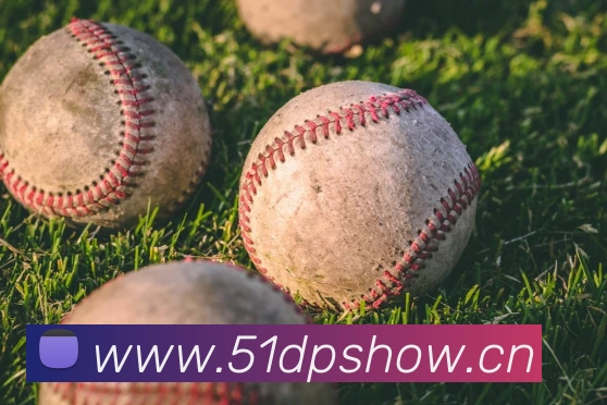 开云kaiyun网页版服务体系